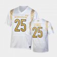 #25 Chris Tyree 2022 Shamrock Series Notre Dame Replica Youth White Jersey 148836-556