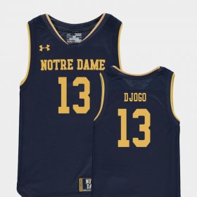 #13 Nikola Djogo Replica Notre Dame College Basketball Special Games Youth Navy Jersey 531712-499