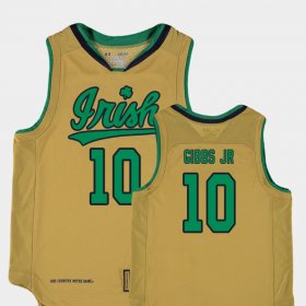 #10 TJ Gibbs Jr. Replica Fighting Irish College Basketball Special Games Youth Gold Jersey 318164-225