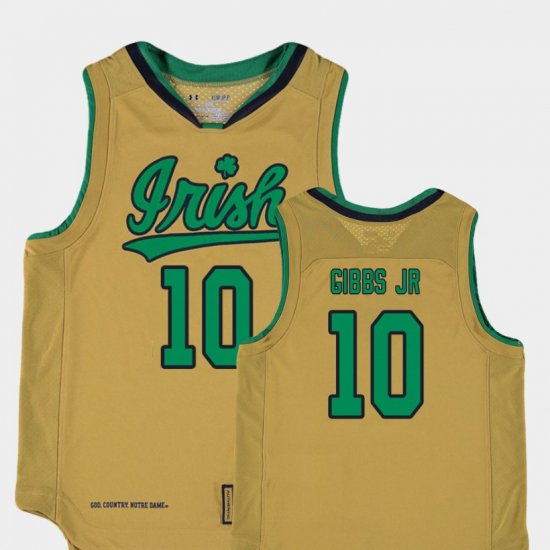 #10 TJ Gibbs Jr. Replica Fighting Irish College Basketball Special Games Youth Gold Jersey 318164-225